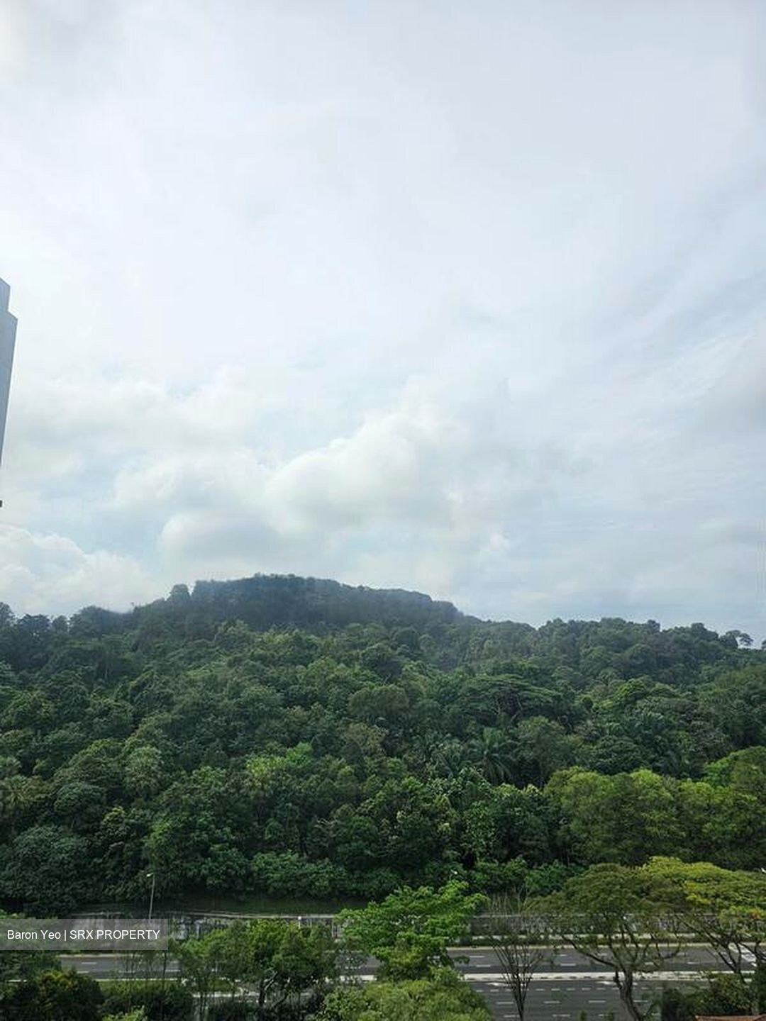 The Skywoods (D23), Condominium #456304221